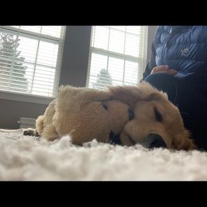 Meet your Posher, Michele